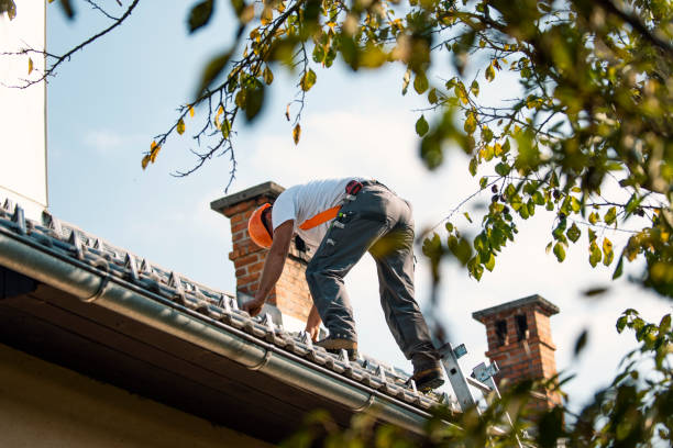 Best Roof Restoration Services  in Lford, MI